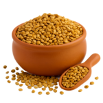 INDIAN FENUGREEK SEEDS | BIJI HALBA | 才头籽