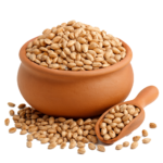 UKRAINE WHEAT GRAIN | GANDUM | 麦粒